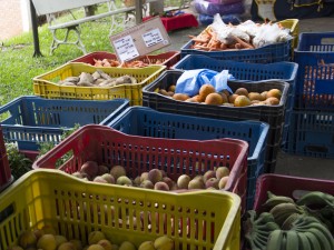feira_3