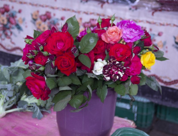 As rosas são clássicas, delicadas e possuem significados especiais conforme as cores, desde o amor até o luto (Foto: Bruna Scheifler)